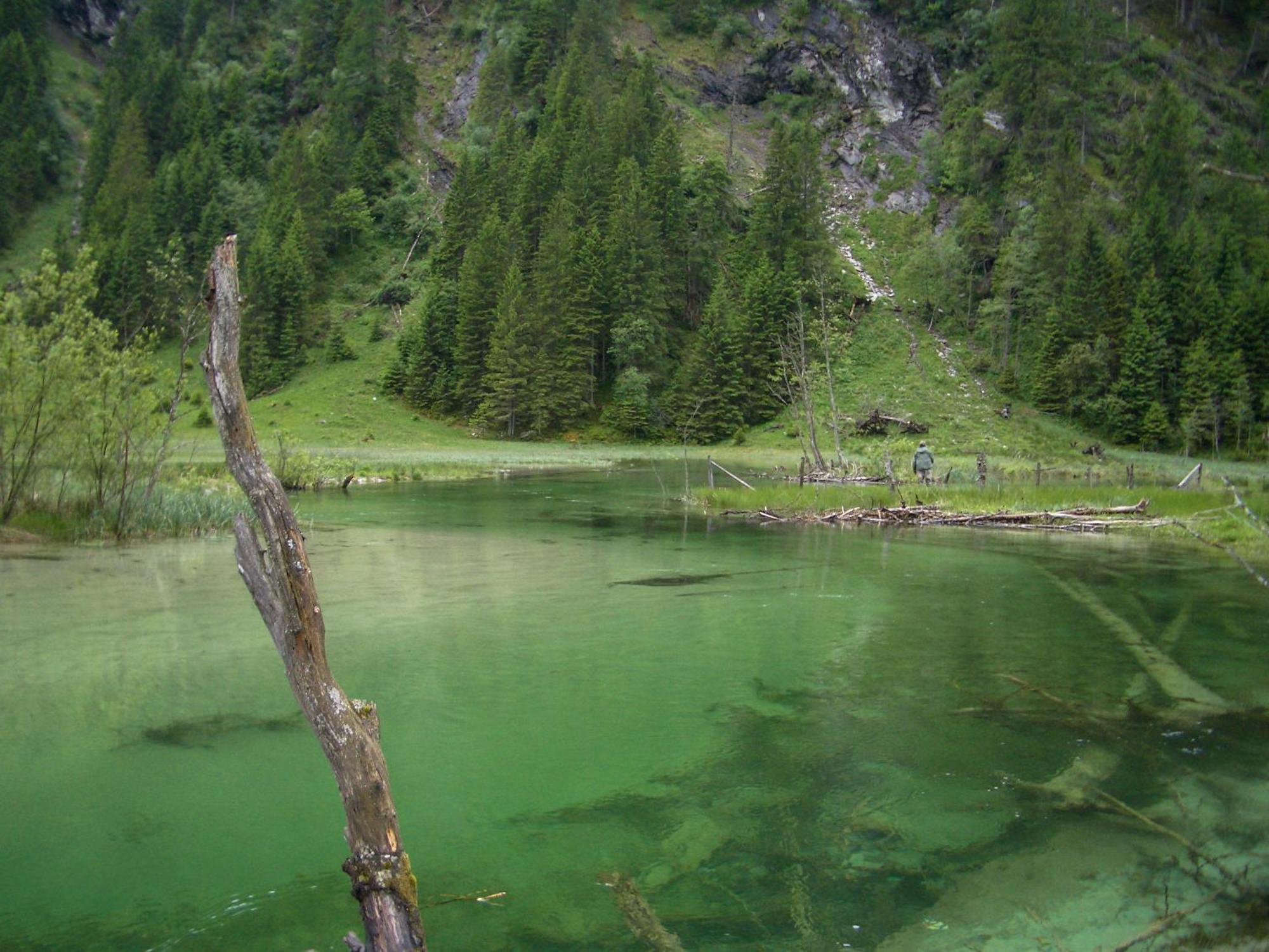 Landhotel Almroesl Im Grossarltal Hüttschlag Eksteriør bilde